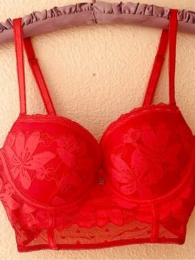 Daisy Fuentes Red Lace Floral Bra
